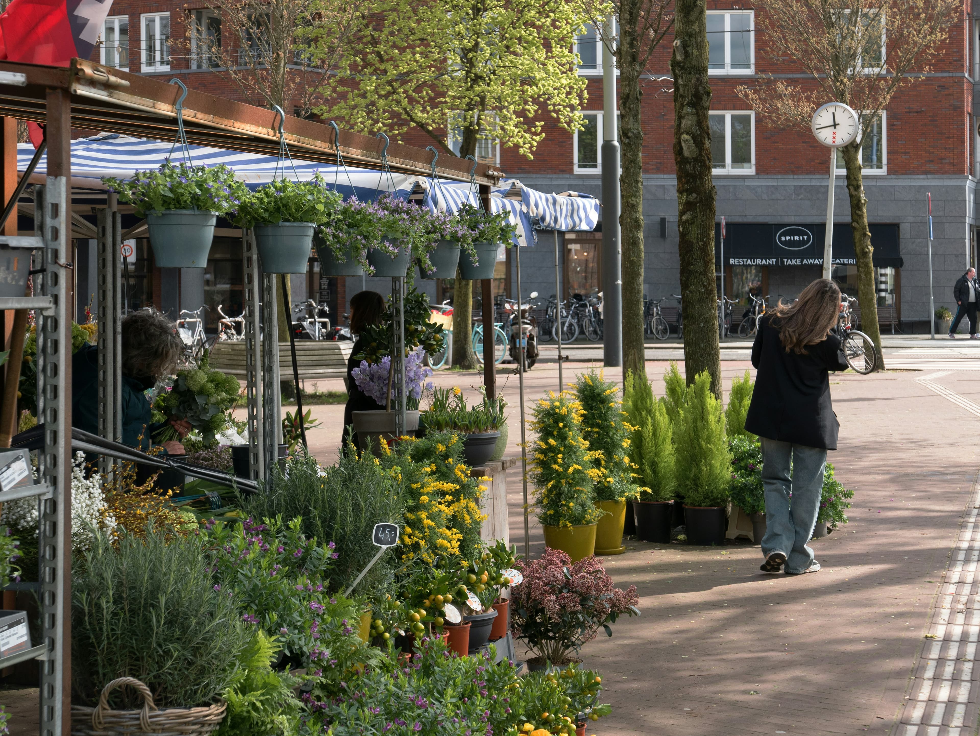 Well-kept road near flower shop, accessible to people with mobility impairments